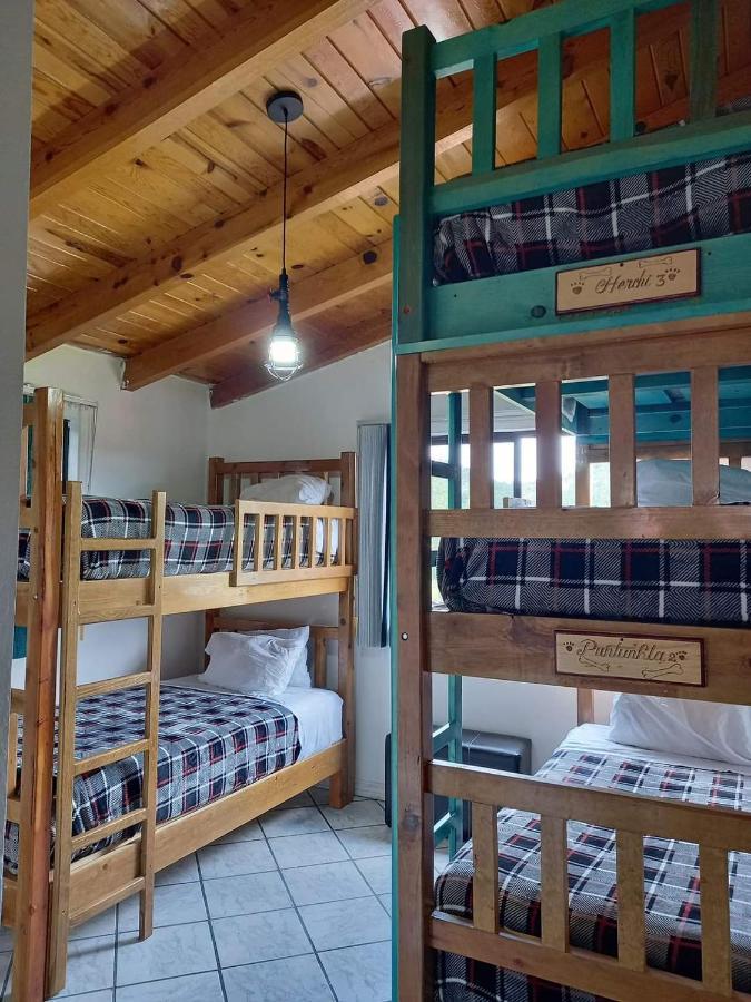 קריל Hostal Pata De Perro מראה חיצוני תמונה